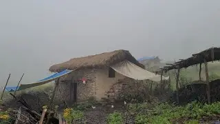 Most Beautiful Nature With Rural Village Life || Rural Documentary Video with Beautiful Nature ||
