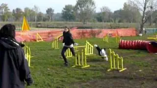 Panka agility h&aacute;ziverseny. a p&aacute;lya eleje lemaradt:D