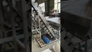 High-Efficiency Belt Bucket Elevator | Upflow Industry #bulkmaterialhandling