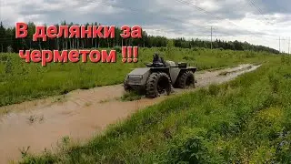 Литые плюшки шли одна за другой.Металлокоп на каракате в делянках.