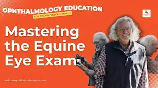 Mastering the Equine Eye Exam: Photography, Sedation, and Healing Insights