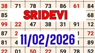 8 February 2026