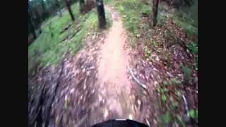 Niner Air 9 Carbon Demo