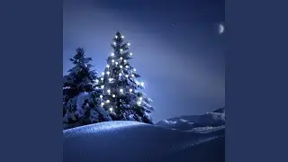 11. Under Starry Skies