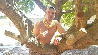Survivor SA  season 6 Entry