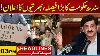 Sindh Government Big Decision, New Jobs Announcement | 03pm News Headlines | 06 Nov 2025 | City21