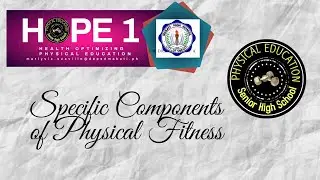 Specific Components of Physical Fitness