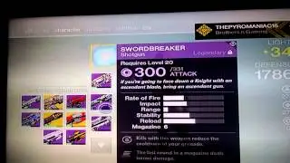 Level 34 Hunter destiny gear