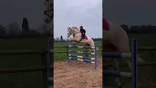Just a little girl & her unicorn 🦄 #horseriding #equestrian #horse #pony #showjumping #horselover