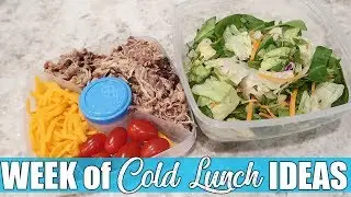 A Week of Cold Lunch Ideas | What My Husband Took for Lunch | December 2019
