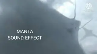 MANTA SOUND EFFECT