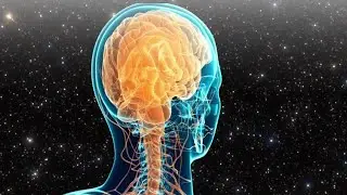 A Did You Know with Dr. Jason Tripp - Live via OneStream Live #onestreamlive