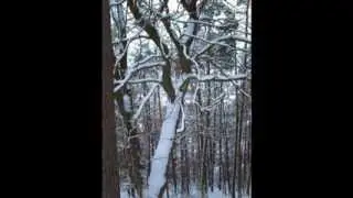 Dicke weiche Flocken - Text & Musik / Ralf Werner