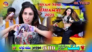 Dhamaal by  Ayan Sial | Lal Meri Pat Rakhiyo Bhala | Malik Studio