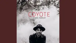 Coyote