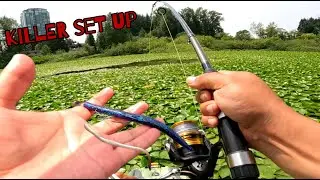 Kayak Fishing Thick Lily Pads BC