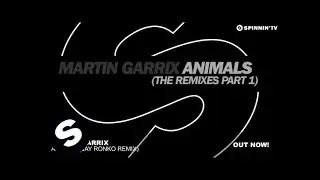 Martin Garrix - Animals (Jay Ronko Remix)