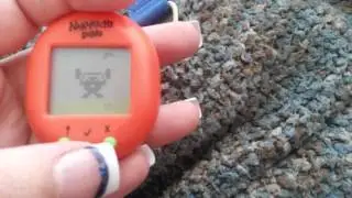 Virtual pet dino Nakamichi
