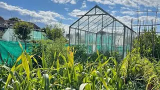 End of May plot update