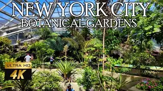 🌿🌸✨ FULL TOUR of BROOKLYN BOTANIC GARDEN 🌺 | Nature Escape in NYC 🏙️ 🌞🧘&zwj;♀️