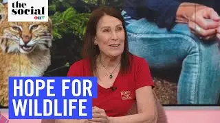Canadian Wildlife Rehabilitator Hope Swinimer | The Social