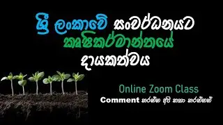 ශ්‍රී ලංකාවේ සංවර්ධනයට කෘෂිකර්මාන්තයේ දායකත්වය/sri Lankan agriculture @agriwithgayathri