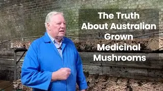 The Truth of Australian Grown Medicinal Mushrooms