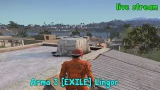 Arma 3 [EXP] EXILE Lingor Проснулся после нового года