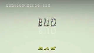 bud - pronunciation + Examples in sentences and phrases