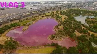Pink lake in Australia