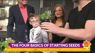 The four basics of starting seeds
