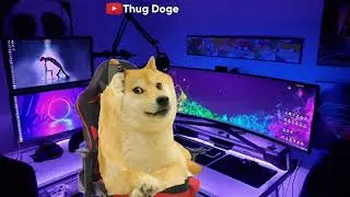 fraud call - 9 | Thug doge