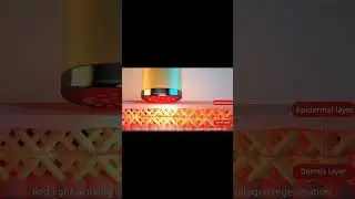 Wrinkle Removal Skin Rejuvenation Beauty Device Handheld Red Led Light Therapy Face Massager