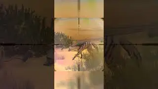 Unbelievable shot! 🎯 Took down legendary Aardwolf in Hunting Clash&mdash;#Hunting #Wildlife #GameOn