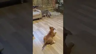 VID 20190607 200147