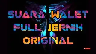 Suara Walet Full Jernih Original (SUARA WALET)