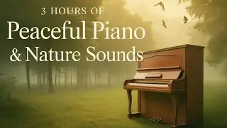 Piano & Forest Sounds: The Ultimate Sleep Soundtrack