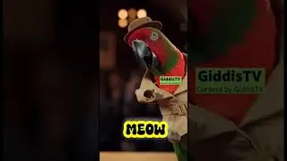 Parrot Interrogates Guilty Cat Over Missing Fish!