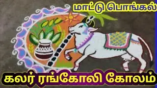 மாட்டு பொங்கல் கலர் ரங்கோலி கோலம் Cow Pongal Color Rangoli Kolam#pongal #பொங்கல் #rangoli #Sankranti