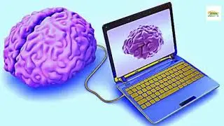 Is is possible to transfer data to a brain