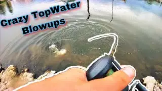 CRAZY Topwater Fishing | HUGE Blowups