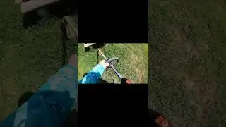 Weed Eating Satisfaction 🌿