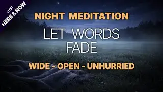 Sleep Meditation to Release Control & Calm Thoughts | Gentle Night Field