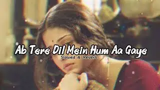 Ab Tere Dil Mein Hum Aa Gaye lofi song || AkshayKumar , Madhuri Dixit || Kumar Sanu , AlkaYagnik || 