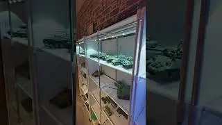 Как я храню своё модельное барахлишко и модели военной техники. #хобби#коллекция