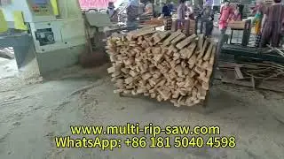 The Production Line Consists of Log Multi Rip Saw and Intelligent Lumber Multi Rip Saw Machine