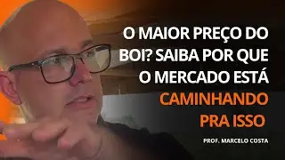 O MAIOR PREÇO DO BOI? SAIBA POR QUE O MERCADO ESTÁ CAMINHANDO PRA ISSO | PROF. MARCELO COSTA