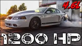 1200hp TWIN-TURBO Mach1 Mustang!