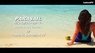 PARASAIL〜シュールホワイトのテーマ〜(TRIPPING DUB VERSION) - 角松敏生 / TOSHIKI KADOMATSU