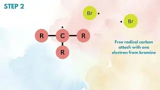FREE RADICAL SUBSTITUTION MECHANISM